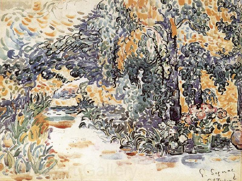 Paul Signac Artist-s Garden Norge oil painting art